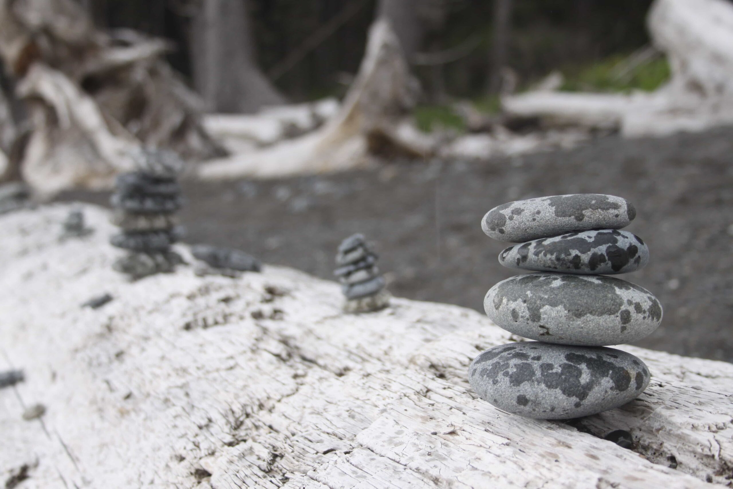 Rocks stacked in a cairn on a log with rain drops on them.