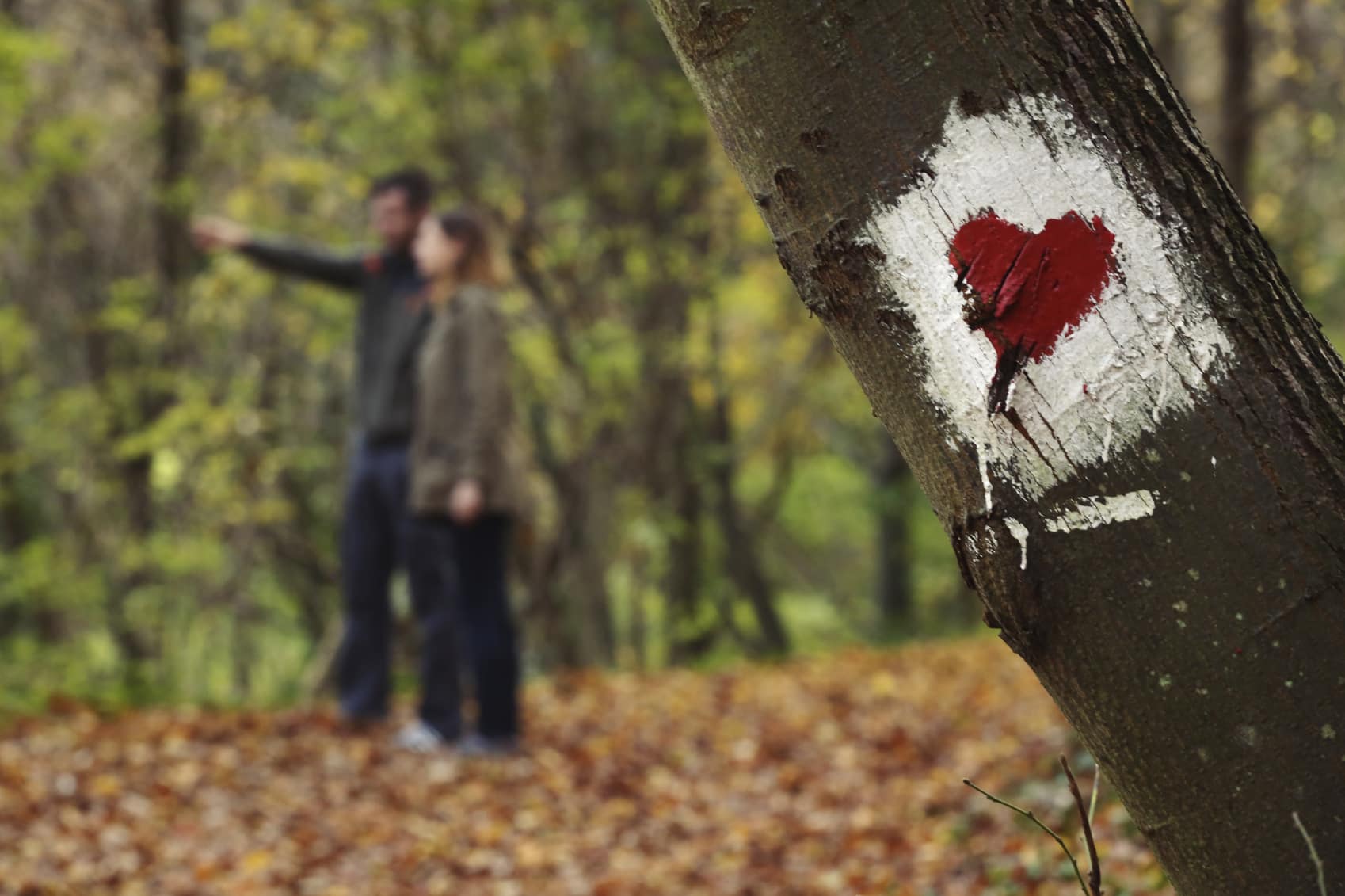 Two people in the wood. One pointing and the other looking in that direction. A tree with a painted trail marker with a heart on it in the foreground.